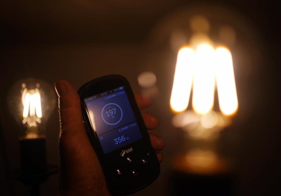 A handheld SSE smart meter for household energy usage is held next to an energy-efficient LED light bulb. The Government has been urged to act to tackle rising energy bills (Yui Mok/PA) (PA Wire)