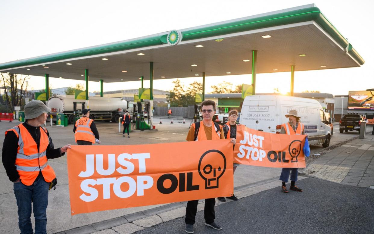 Just Stop Oil protesters - Leon Neal/Getty