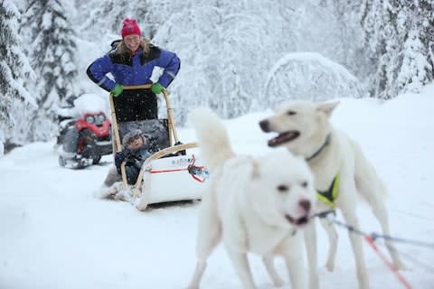 Canterbury Travel's Magical Interlude includes a thrilling zoom through the woods with huskies - as part of the search for Father Christmas - Credit: Nick Morrish/BA