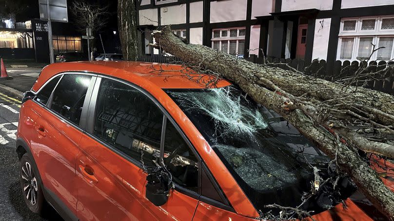 Während des Sturms Isha ist in Nordirland ein großer Ast auf ein Auto gefallen.