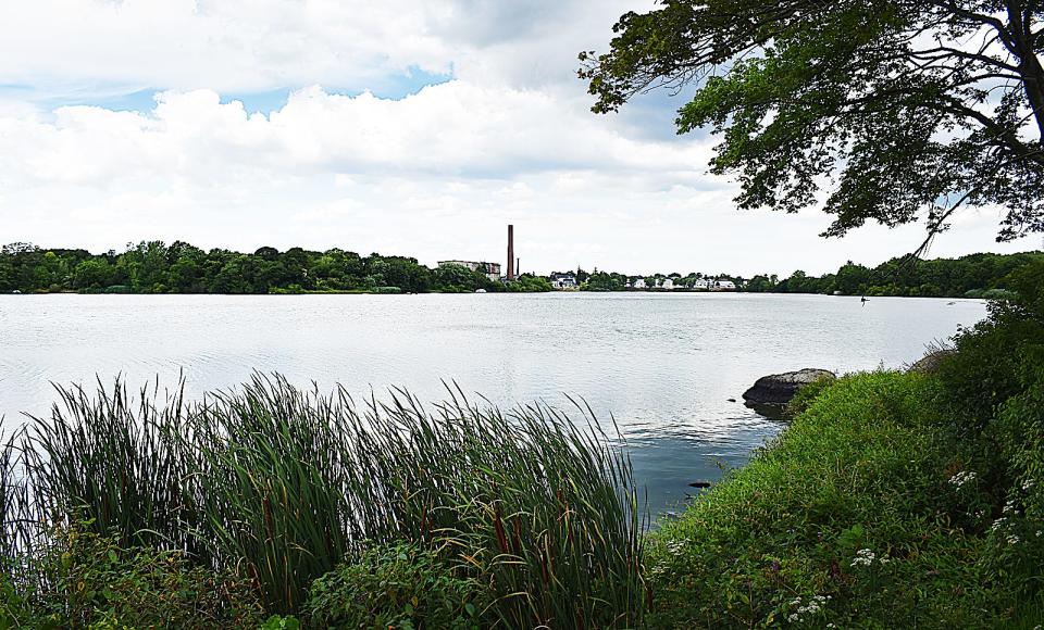 View of Dwelly Street over Cook Pond: State funds are being used to clear away vegetation near the wall next to the pond on Dwelly Street.