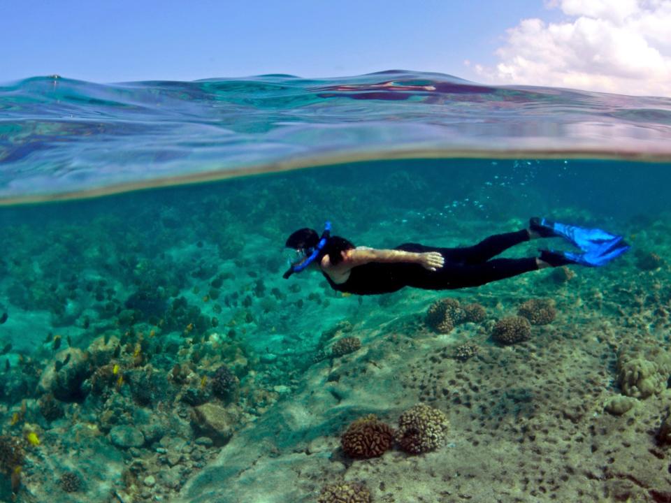 Snorkeler enjoys the fishes in Honaunau Bay. Kona. Big Island. Hawaii. USA.