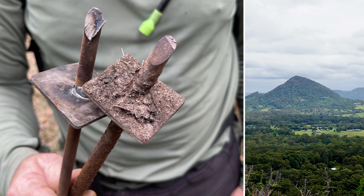 Massive spikes in a man's hand in close up (left). Right a shot of the national park.