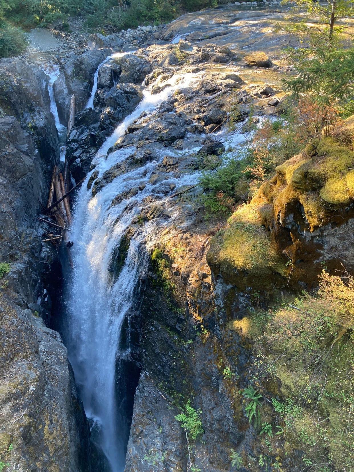 Englishman River Falls in the park of the same name.