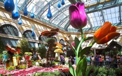 Bellagio Conservatory & Botanical Garden, Las Vegas - Credit: ©JeffreyGreenberg@aol.com/Jeff Greenberg