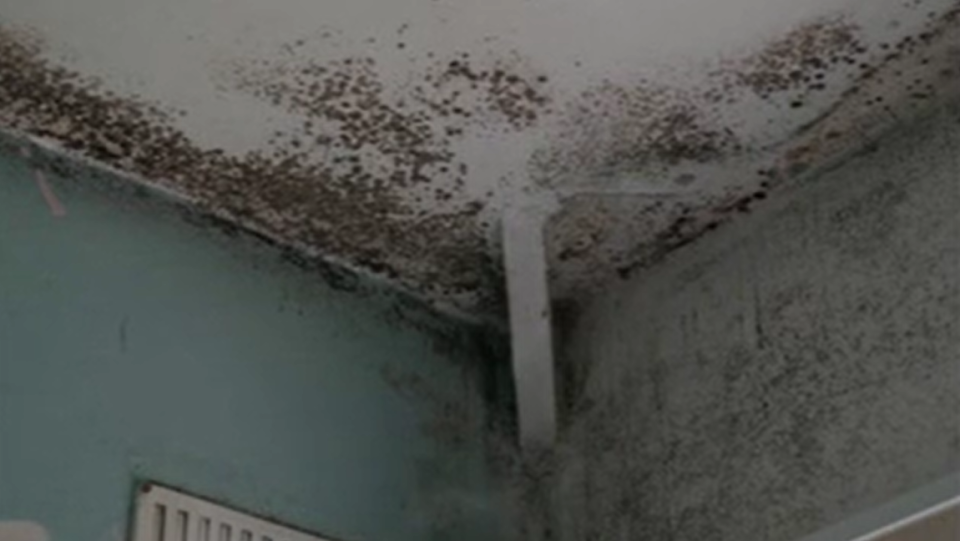 Bedroom walls covered in mould
