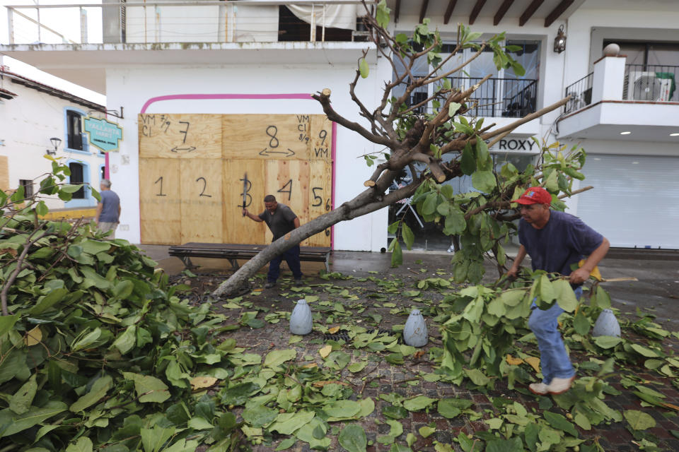 Workers remove tree branches that fell during the passing of Hurricane Lidia in the hotel area of Puerto Vallarta, Mexico, Wednesday, Oct. 11, 2023. Lidia dissipated Wednesday after hitting land as a Category 4 hurricane. (AP Photo/Valentin Gonzalez)