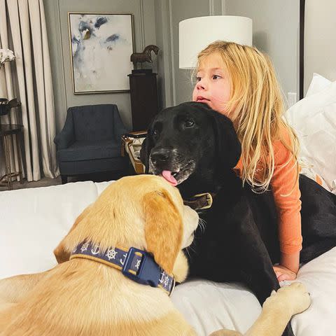 <p>Ryan Seacrest/Instagram</p> Ryan Seacrest's two dogs and niece