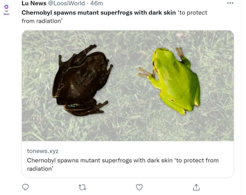 車諾比附近的東方樹蛙居然從綠色轉變為像碳一樣的黑色。（圖／翻攝自@LoosiWorld推特）