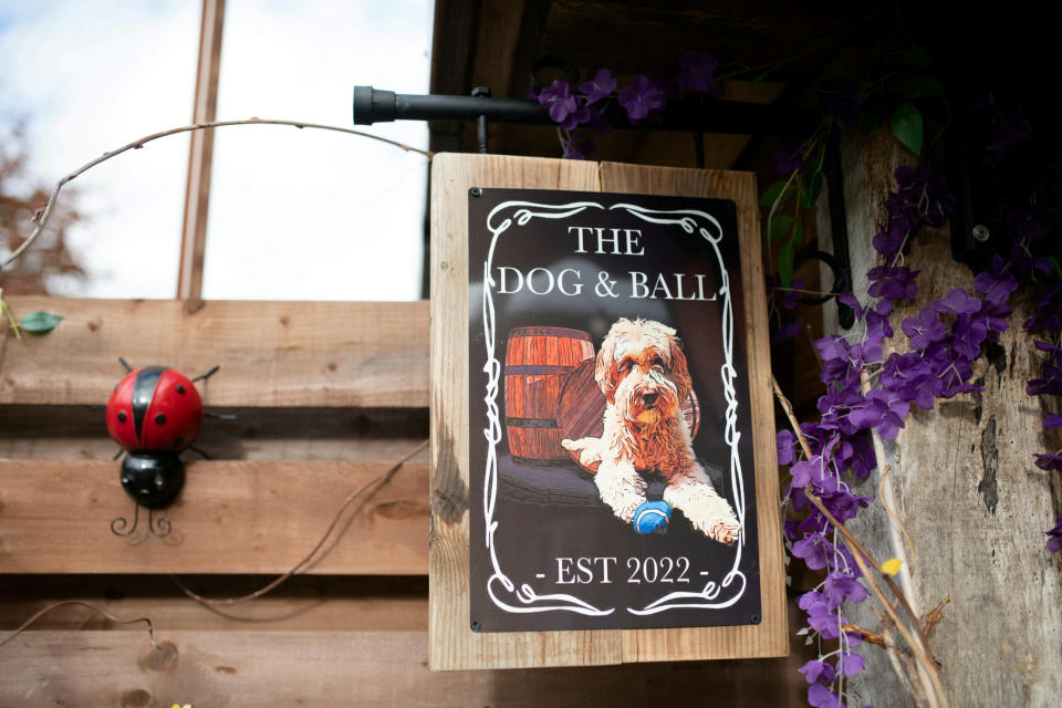 The Dog & Ball beat off more than a thousand entries to be named the owner of Britain's best Pub Shed 2022. (SWNS)