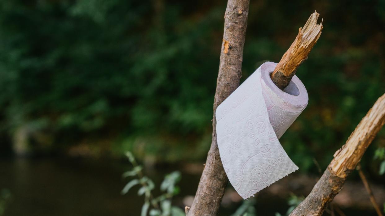  Roll of toilet paper on a tree branch. 