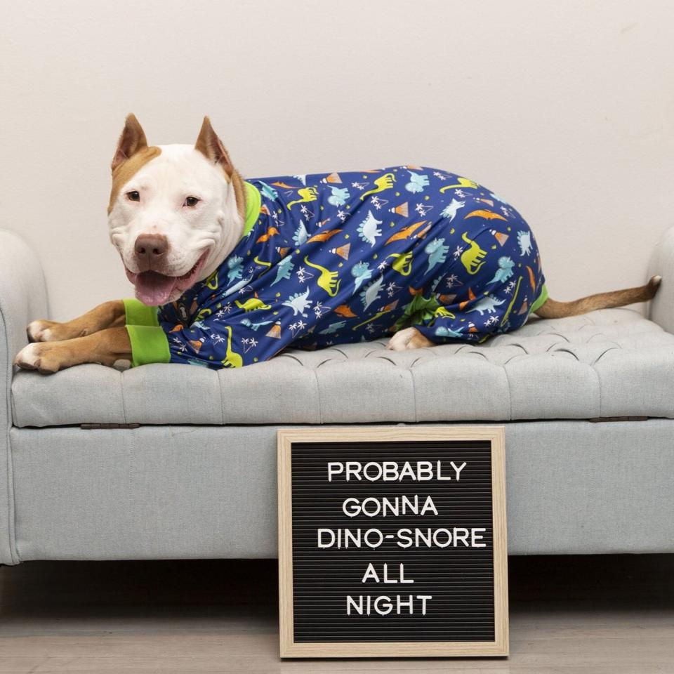 Pitbull Pajamas