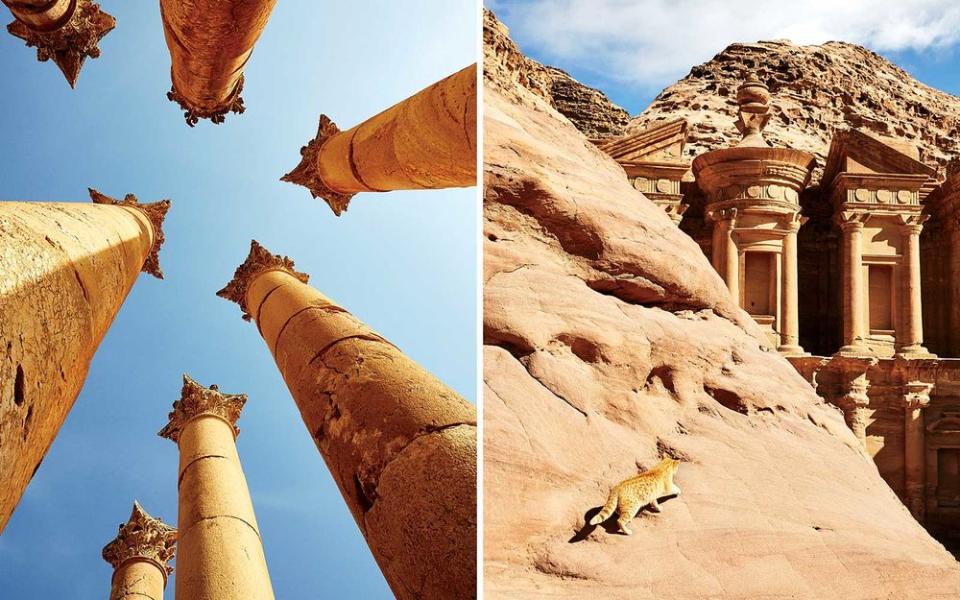 From left: Greco-Roman columns in the ancient city of Jerash; a cat plays near Ad Deir, or the Monastery, in the ancient city of Petra.