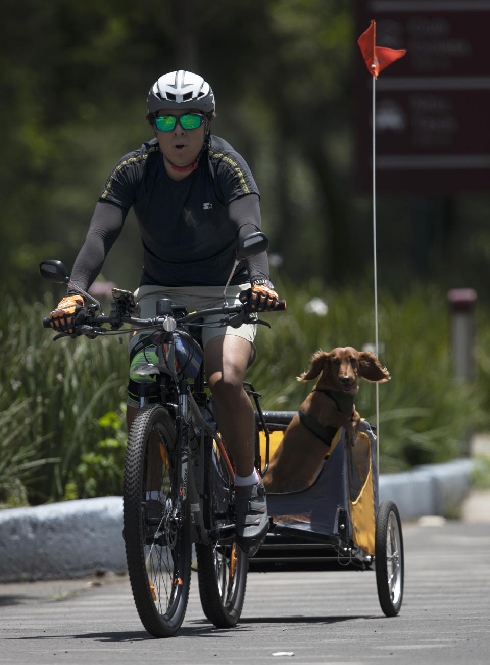 A man rides his bicycle with his dog in tow amid the new coronavirus pandemic at Chapultepec park in Mexico City, Sunday, July 19, 2020. (AP Photo/Marco Ugarte)