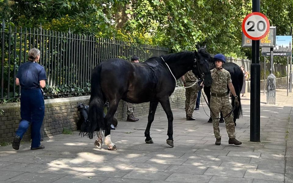 An Army rider calms one of the horses down after it went on the run