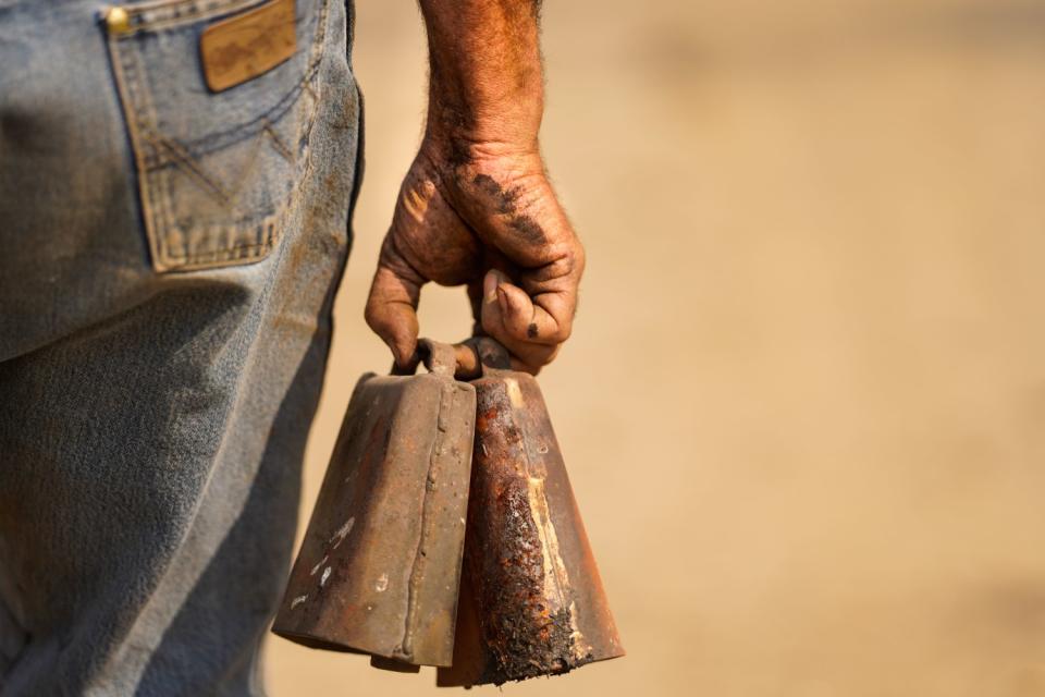 The sound of the two cowbells in the hand of Dave Daley ring out through the forest as the rancher searches for cattle.