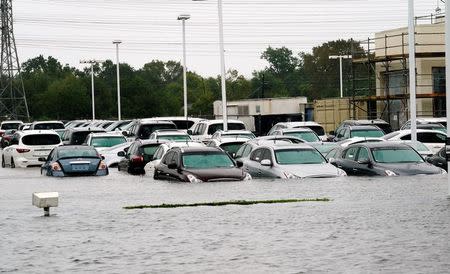 FILE PHOTO: A car dealership is covered by Hurricane Harvey floodwaters near Houston, Texas, U.S. on August 29, 2017. REUTERS/Rick Wilking/File Photo