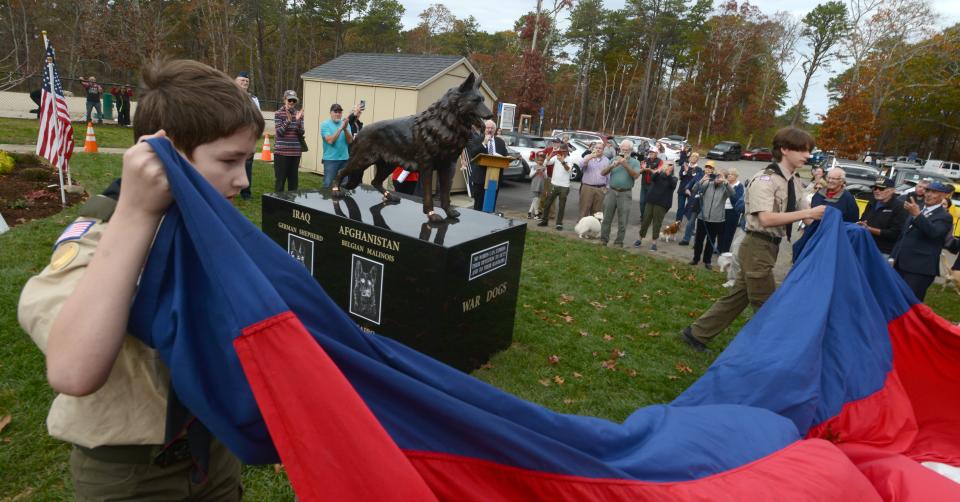 Attendees on Veterans Day await their first view as Boy Scouts from Troop 54 in Centerville unveil a statue at the Barnstable Dog Park to honor War Dogs who have served the country.