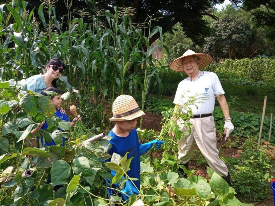 中市環保農園即日起開放報名，將抽出30名幸運兒，免費耕種5個月。（圖：中市府提供）