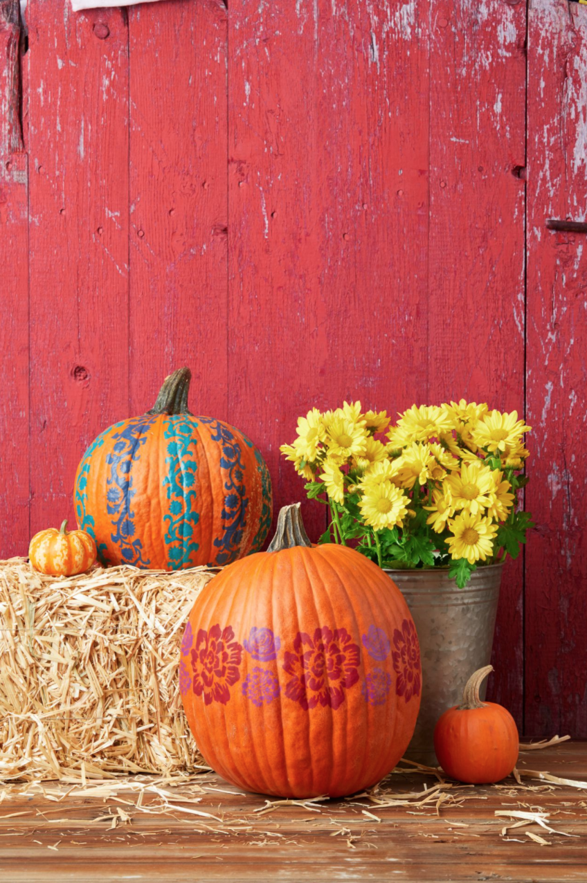 Bold Band Pumpkins