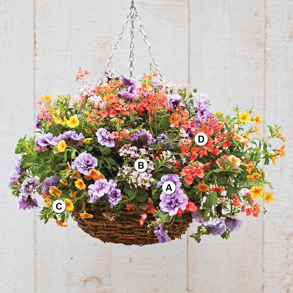 Use these easy plant-by-numbers recipes to put together the most beautiful hanging baskets in your neighborhood.