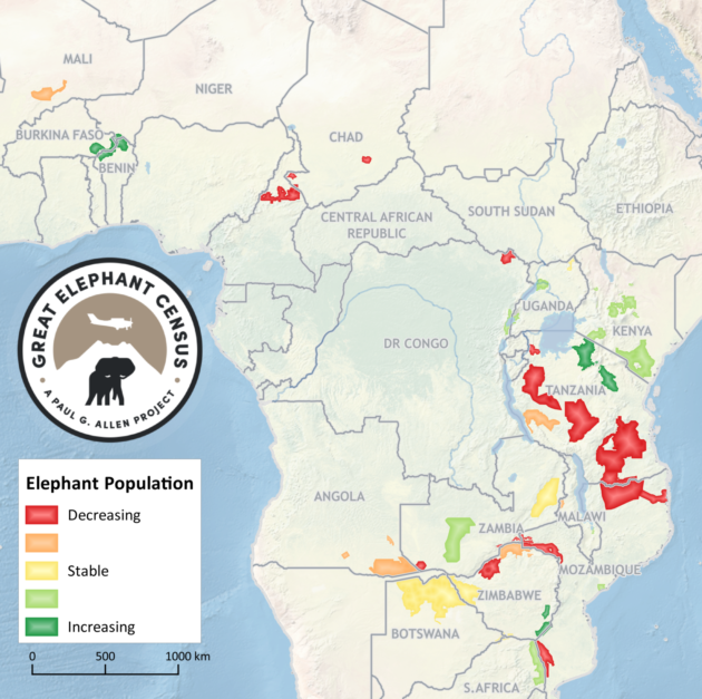 Savanna elephant population trends