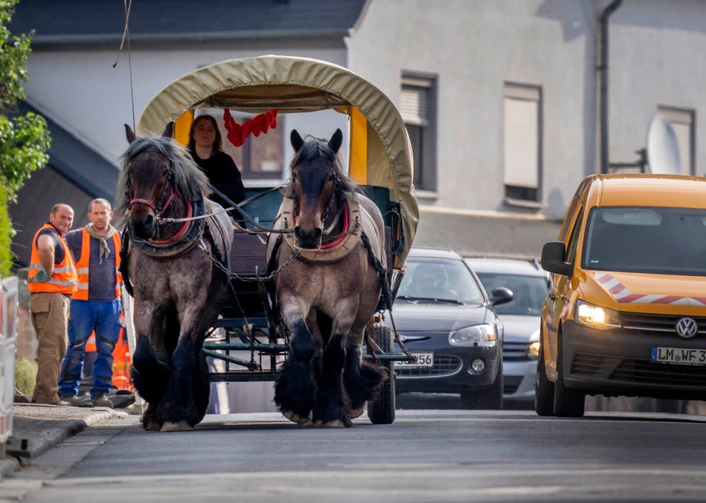 Horse farmer Stephanie Kirchner steers her coach on the main road through her hometown Schupbach near Limburg, Germany (AP)