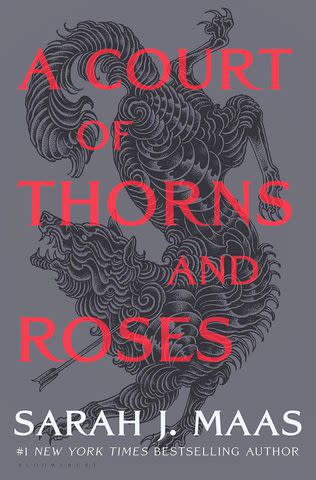 <p>Amazon</p> A Court of Thorns and Roses book