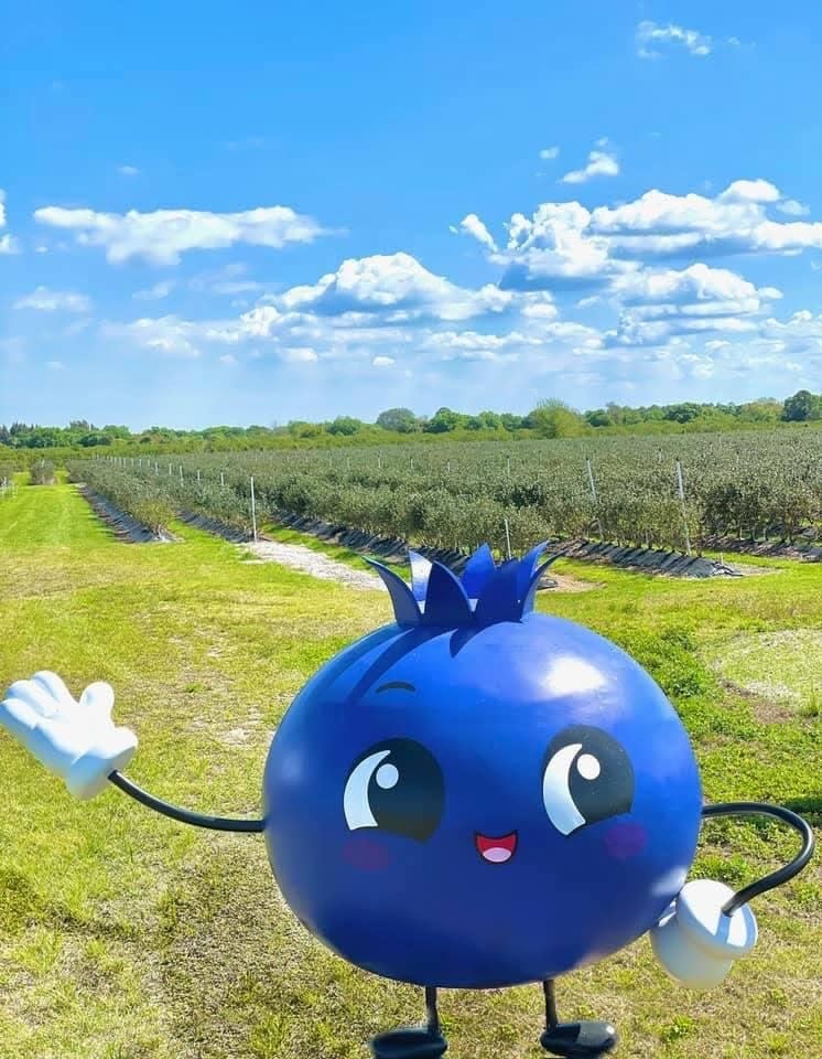 BB is Blueberry Bunch Farm's u-pick greeter.