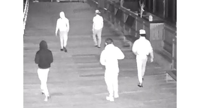 A group of five men believed to be in their 20s caught CCTV with the penguin on Jacka Boulevard, in front of the Royal Melbourne Yacht Squadron. Source: Crime Stoppers