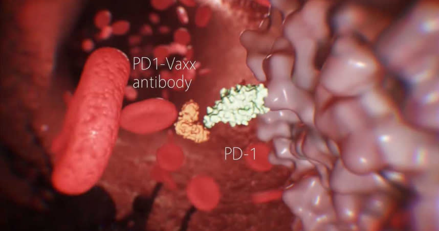 國外大學研究團隊成功研發癌症疫苗，可以有效的更新T細胞的識別率，讓T細胞能夠更精準地抓到癌細胞。（圖／翻攝自YouTube）