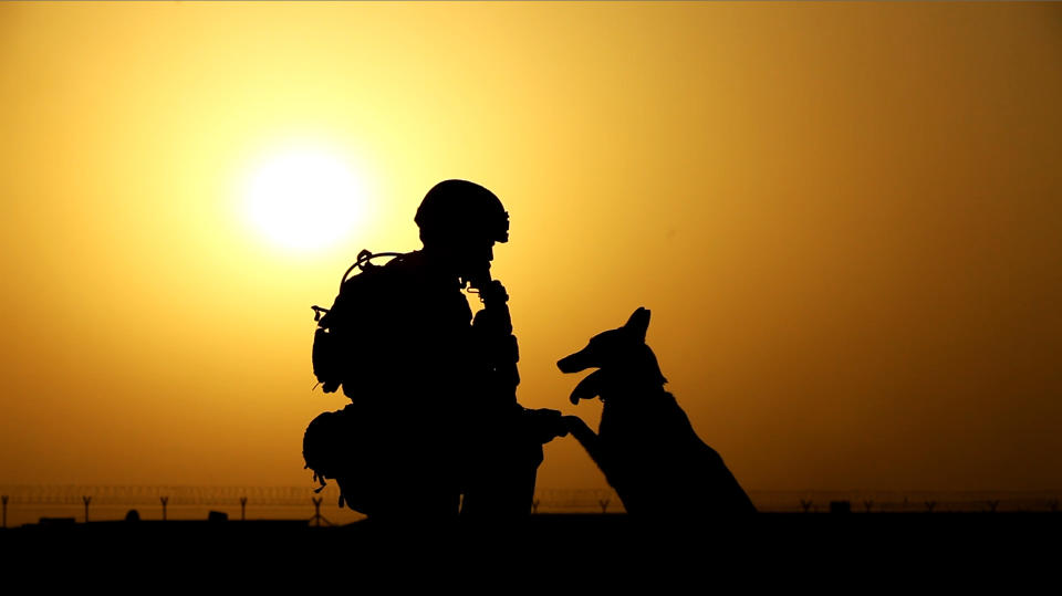 This 2012 publicity photo provided by Animal Planet shows a soldier and military working dog, in Afghanistan. Animal Planet embedded four camera crews with front line troops for six weeks to create a television special called "Glory Hounds," where each crew was assigned to a handler and his dog and the show set out to prove that dogs were more than military "tools." “Glory Hounds" airs Thursday, Feb. 21, 2013 at 8 p.m. ET/PT and repeats on Feb. 24 at 9 a.m. ET/PT. (AP Photo/Animal Planet)