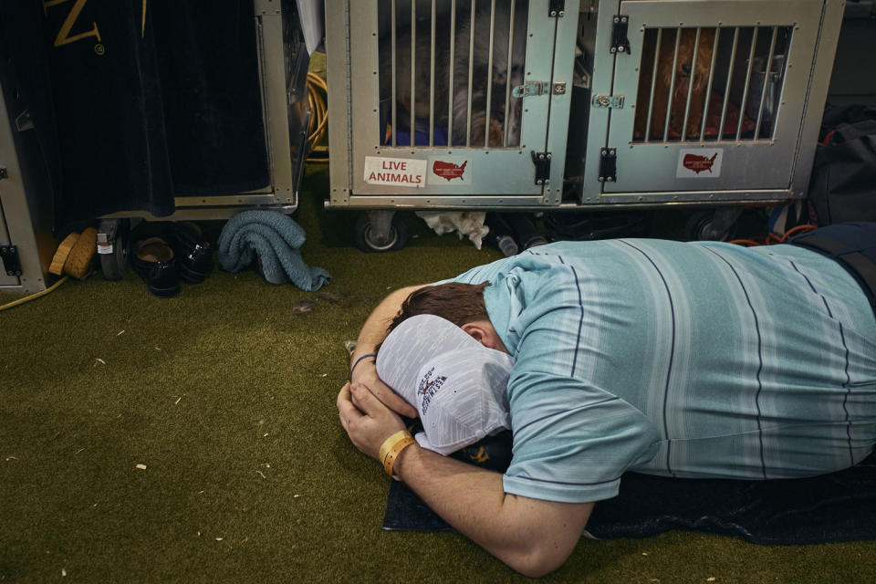 A handler lays on the floor near caged dogs. (Andres Kudacki / Getty Images)