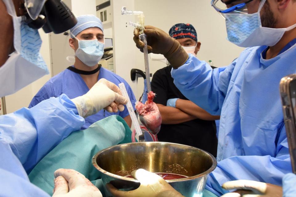 Surgeons prepare for the transplant (University of Maryland School of Medicine)