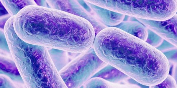 Brote de listeria en EEUU ha causado una muerte y más de 20 hospitalizados