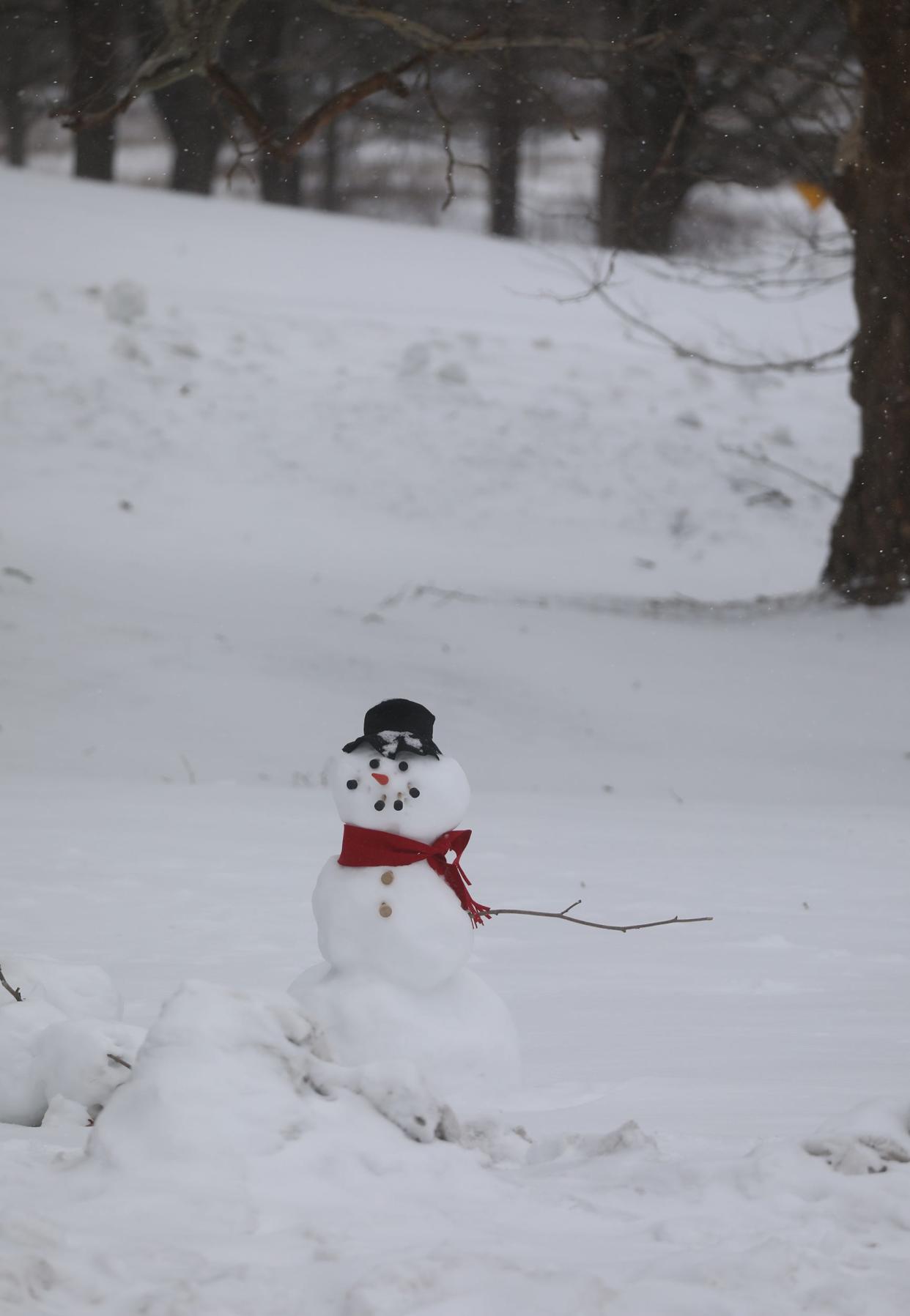 File Photo: A snowman in Mendon Ponds Park.