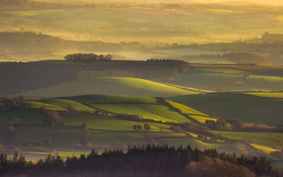 dartmoor - Getty