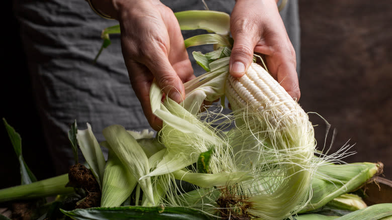 shucking corn