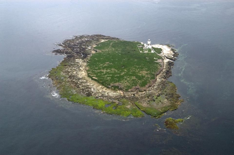 Coquet Island off the coast of Northumberland (David Wootton/RSPB/PA) (PA Media)