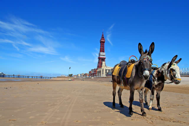 Coleen Nolan blast Blackpool as 'war zone'