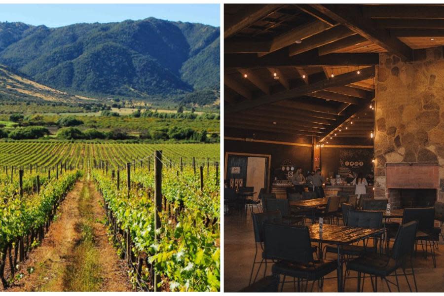 Estas son las 10 casas vinícolas favoritas de los turistas en Valle de Guadalupe