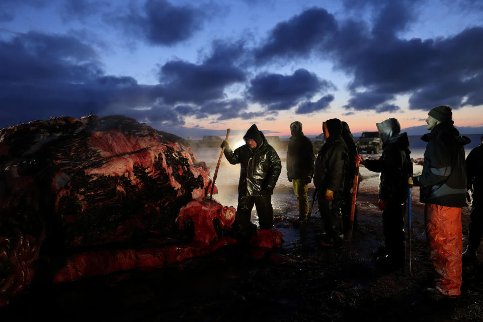 FILE - Fredrick Brower, center, helps cut up a bowhead whale caught by Inupiat subsistence hunters on a field near Barrow, Alaska, Oc. 7, 2014. After tidal surges and high winds from the remnants of a rare typhoon caused extensive flood damage to homes along Alaska's western coast in September, the U.S. government stepped in to help residents largely Alaska Natives repair property damage. Residents who opened Federal Emergency Management Agency brochures expecting to find instructions on how to file for aid in Alaska Native languages like Yup'ik or Inupiaq instead were reading nonsensical phrases. (AP Photo/Gregory Bull,File)