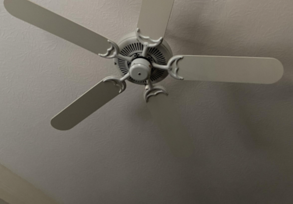 A ceiling fan