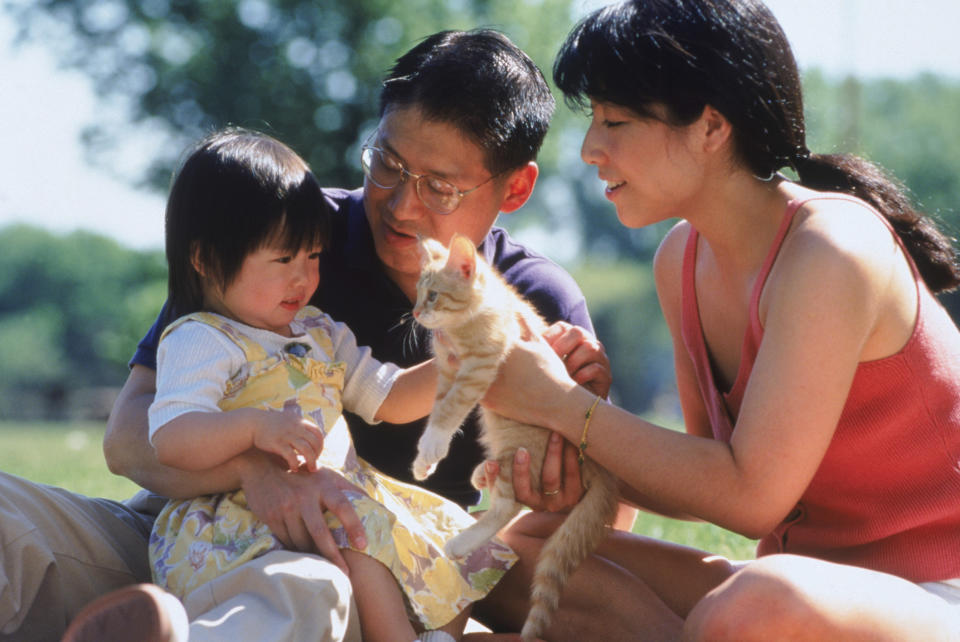 Parents with their young child and a kitten