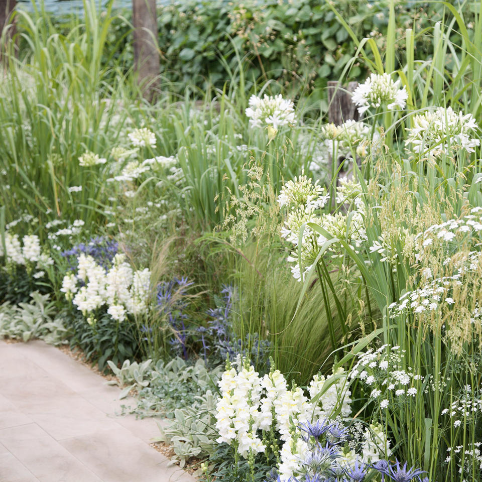 Go for a one-colour planting scheme