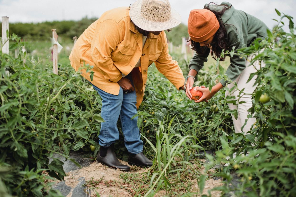 Gardening can produce countless yummy ingredients for your recipes.