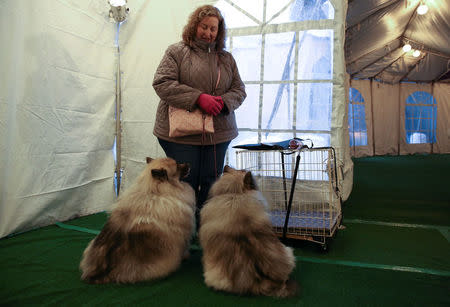 A woman waits outside after attending the Westminster Kennel Club Dog Show in New York, U.S., February 10, 2018. REUTERS/Caitlin Ochs