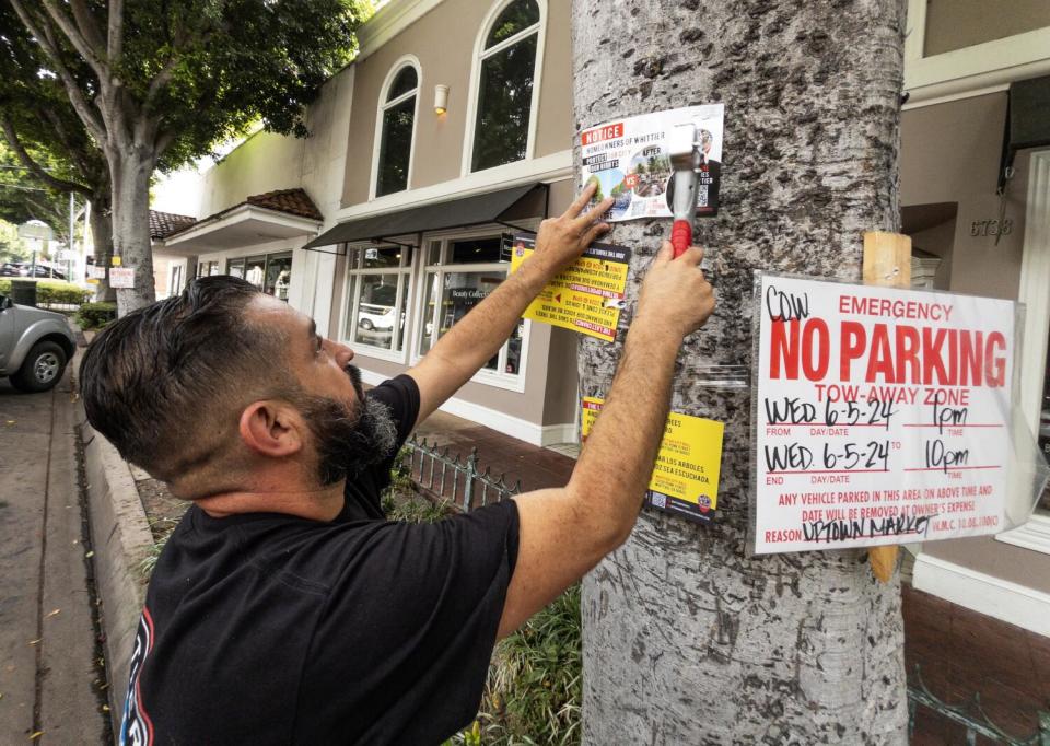 A person puts a sign up on a tree.