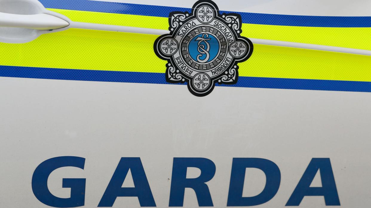 Garda logo on a Garda vehicle