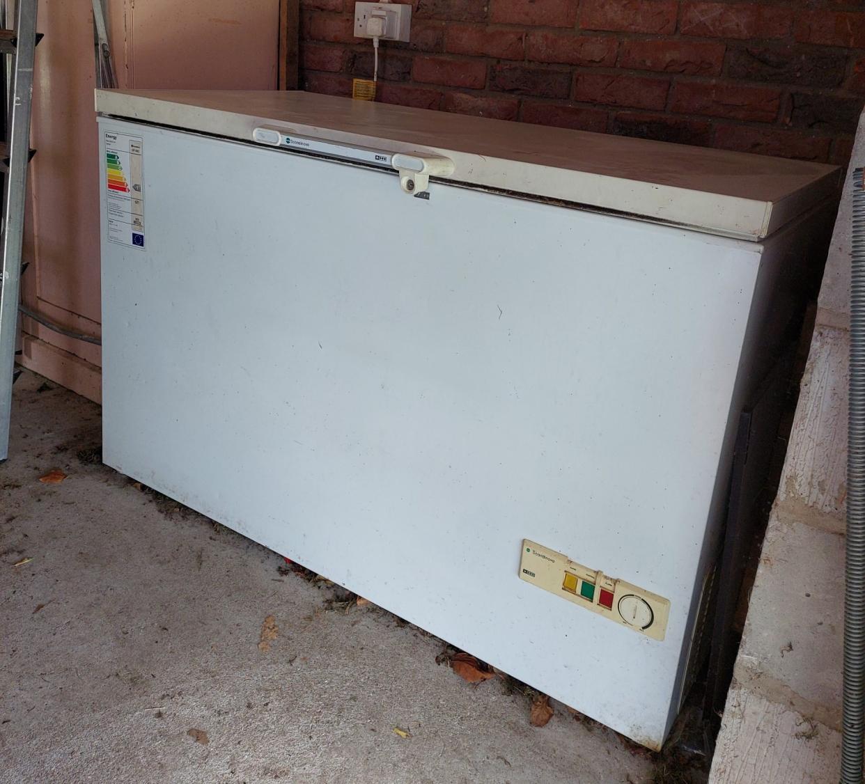 Susan Elsey's Scandinova chest freezer is between 40 and 50 years old and still in constant use